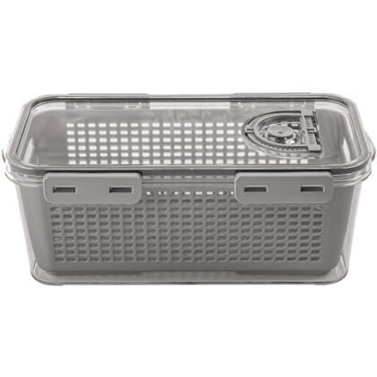 ظرف نگهدارنده لیمون مدل یخچالی کد DH2378