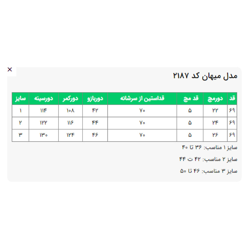 مانتو زنانه السانا مدل میهان کد 218705 - Image 43